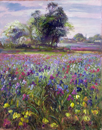 Irises and Distant May Tree, 1993 by Timothy Easton